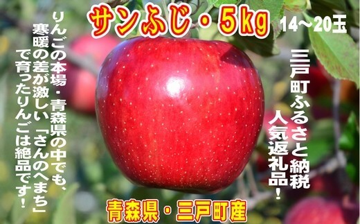 りんご【サンふじ】14～20玉（約5kg）ふるさと納税青森県